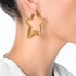 Star earrings hoops