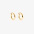 Small gold chunky hoops