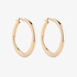 Gold plated round and chubby hoop earrings