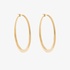 Big gold oval hoops