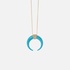 Turquoise horn necklace