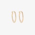 Small oval gold hoops