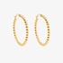 Thin gold hoops