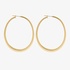 Big gold oval hoops