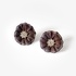 Brown titanium flower earrings
